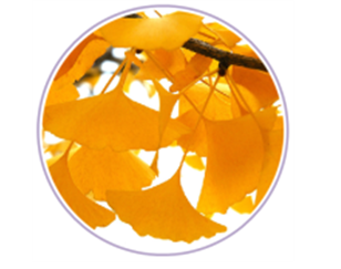 symbol_tree.png